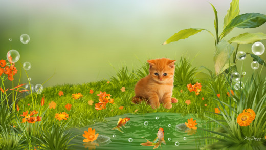827316 (a): :1920x1080